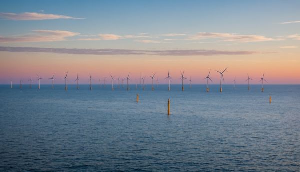 Pourquoi les parcs éoliens en mer se multiplient ?