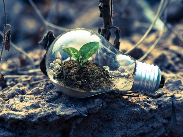 Comment assurer un environnement durable ?