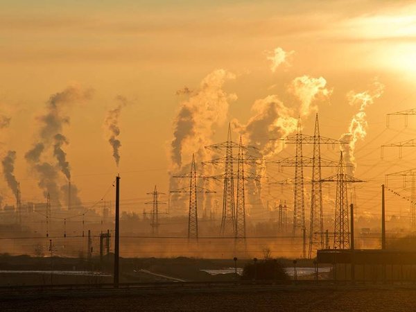 Comment lutter efficacement contre le réchauffement climatique ?